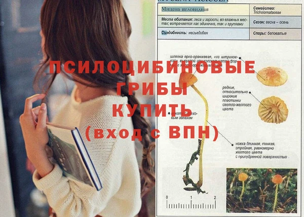 крисы Переславль-Залесский