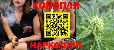СК Новозыбков