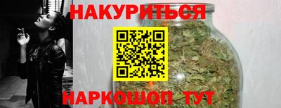 СК Новозыбков
