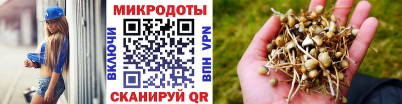 Псилоцибиновые грибы MAGIC MUSHROOMS  Саранск 